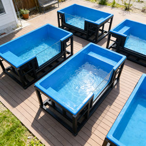 Piscine extérieure avec conteneur en acrylique transparent, piscine au sol, piscines de rééducation à eau froide et chaude, piscine à structure - Product Image 2