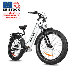 Gudang EU e-bike 48V 19.2AH 750W * 2 Motor ganda sepeda listrik 26 inci lemak Ban Sepeda Kumbang dengan Pedal Drop pengiriman EBike