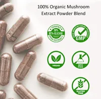 Cordyceps Ganoderma en cápsula suplemento Reishi Extracto de hongo cápsulas embalaje 7 en 1 Lions Mane Mushroom Complex cápsulas