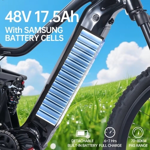 Bicicleta Eléctrica de Montaña de 48V 250W con Motor Central Bafang, Suspensión Completa, 29 Pulgadas, Sensor de Torque - Product Image 2