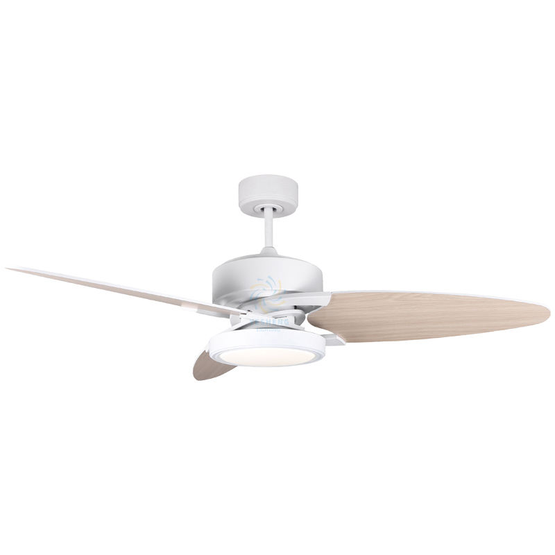 ขาว + เม็ดไม้