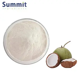 High Quality 101 Coconut Milk Powder Coconut Fruit Extract Powder Coconut Powder