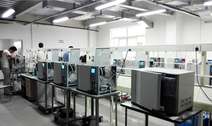 เครื่องโครมาโทกราฟีก๊าซ Bonnin GC1290 สำหรับห้องปฏิบัติการ พร้อมระบบฉีดอัตโนมัติ และตัวตรวจจับ FID/TCD/FPD/NPD - Product Image 6
