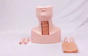 Maniquí de Entrenamiento en Ciencias Médicas, Modelo Avanzado de Entrenamiento en Cirugía de Traqueotomía, Simulador de Tirocricocentesis - Product Image 4