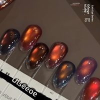 Suuseegel 2026 Nouveau Kit de Vernis Gel UV Magnétique Effet Œil de Chat Multicolore 10 Couleurs Non Toxique pour Nail Art