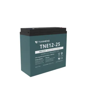 Tianneng Wholesale Deep Cycle 12v 25ah Lead Acid Battery For Electric Bicycle