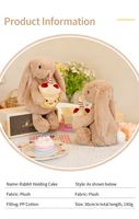 Jelly Bunny Cuddle Cake Doll Cupcake Bear Plush Stuffed Safe Rabbit Hug Cake Plush Toy avec Short Plush PP Cotton Filling