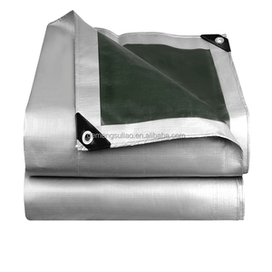 Bâche PE transparente imperméable 160 g/m² 6x8m vert-argent pour toiture, construction, échafaudage, bâtiment, entrepôt, abri - Product Image 4