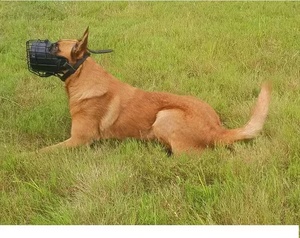 Muzzle de alambre de acero inoxidable para perros, transpirable y anti-mordeduras, para perros de trabajo medianos/grandes, disponible en EE. UU. - Product Image 6