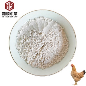 Động vật dinh dưỡng thức ăn phụ gia <span class=keywords><strong>allicin</strong></span> tỏi bột cho gia cầm và chăn nuôi - Product Image 1