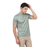 Livraison rapide T-shirt décontracté pour homme en coton soyeux, couleur unie, version classique, col rond, manches courtes, très vendu en Europe