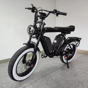 双电池1000w 48v 22 ahx2 20 "胖轮胎合金铝框架越野电动自行车