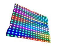 Bande lumineuse intelligente WS2812B DC12V, panneau matriciel flexible à LED, écran couleur numérique programmable, adressable individuellement