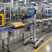 Machine de marquage laser à fibre industrielle, pulsée, refroidie par air, codeuse CNC pour numéro de série, logo, code-barres, date