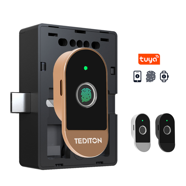 TEDITON Factory Intelligent App Biometric Lock Fingerprint Door Handle Digital Keyless Intelligent Cabinet Lock