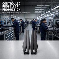 Hélice pliante en fibre de carbone Hobbywing XRotor MFP 36190 de remplacement pour système d'alimentation des drones agricoles X9 X9 Plus