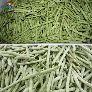Industrial Wash Vegetable <b>Production</b> Line Green <b>Beans</b> End Cutting Washing and Air Drying <b>Machine</b> - Product Image 6