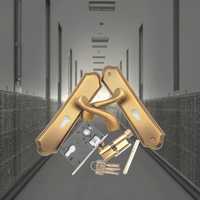 2025 DoorShine fabricante directo nuevo latón moderno negro aleación de aluminio manija de palanca de puerta Interior cerradura de puerta de madera con llaves