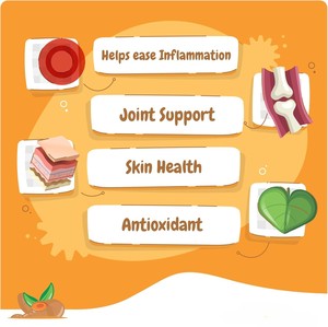 Curcuma personnalisé curcumine en poudre complément pour animaux de compagnie soins de santé chien soutien hanche articulation facilité inflammation antioxydant cardiovasculaire - Product Image 2