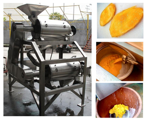 โรงงานซัพพลายมะม่วงเยื่อกระดาษกระบวนการผลิต - Product Image 4