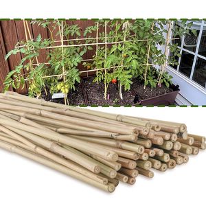Agricultural Bamboo Stakes Plant Support Sticks Natural Dried Long Lasting Branch Fumigated Vietnam Wholesale Supplier <b>Pole</b> - Product Image 1
