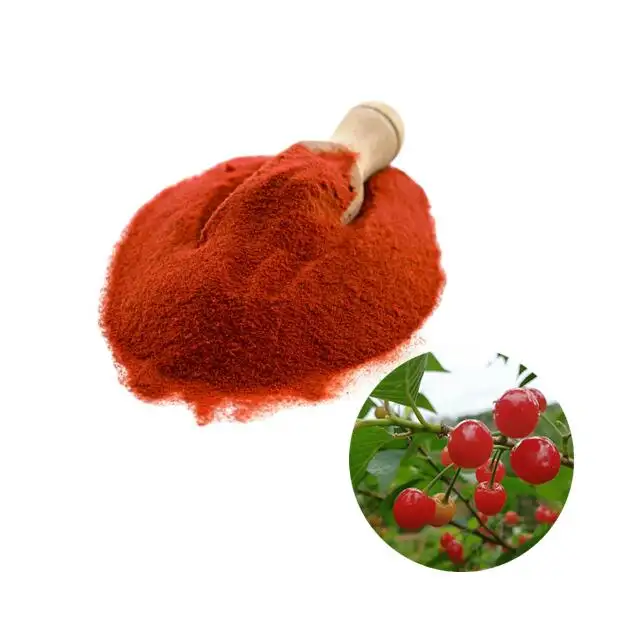 Bán buôn Acerola Cherry bột Cherry nước trái cây bột Cherry bột trái cây