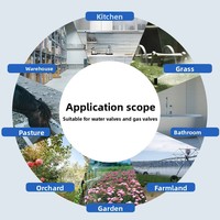 Contrôleur intelligent Zigbee pour conduite de gaz domestique, application Tuya, télécommande programmable, vanne d'eau 12V1A