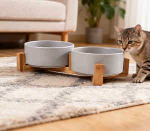 Alta Qualidade Pequena Cerâmica <span class=keywords><strong>Pet</strong></span> Bowl Garrafa Automática Em Forma de gato e Cachorro Tigela Usado para Interior e Viagem Tempo De Alimentação para Animais De Estimação - Product Image 5