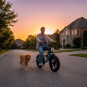 Schwarzes E-Bike mit hydraulischer Bremsunterstützung und 48V Lithium-Akku, Erwachsenen-Elektrofahrrad für Hundeausführungen im Vorort - Product Image 3