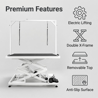 Table de toilettage pour chien AP-899 avec élévateur électrique et bras articulé, table de toilettage pour animaux de compagnie à vendre