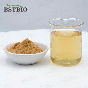 Fornitura di Fabbrica: Polvere di Fungo Criniera di Leone 100% Pura, Estratto di Criniera di Leone per Integratori Alimentari - Product Image 3