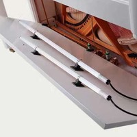 Accessoires universels pour instruments de musique avec interrupteur, tige de séchage anti-humidité, tube de déshumidificateur électrique chauffant