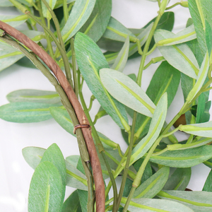 Corona de una sola <span class=keywords><strong>flor</strong></span> de Olivo de alta calidad, venta directa de fábrica, plantas y flores preservadas - Product Image 6