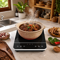 Cuisinière électrique infrarouge en céramique 2000W, brûleur unique, portable, 9 niveaux de puissance, commande tactile pour la cuisine à domicile