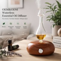 Diffuseur en verre fait main, bois naturel, alimentation USB, écologique, portable, nébuliseur d'aromathérapie sans eau, SPA à domicile, sur table, 25 ml
