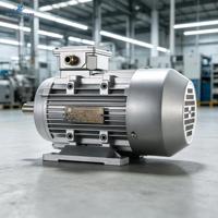 Moteur asynchrone triphasé 1 CV 0,75 kW 6 pôles IE1, fermé, 50/60 Hz, tension large, optionnel, haute durabilité pour machines