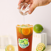Sirop aromatisé aux fruits sur mesure pour Bubble Tea, glace pilée et café – Ingrédients en vrac pour boissons à base de fructose et de sirop de maïs (OEM)