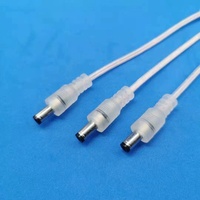 Lumières néon à connecteurs DC mâles et femelles 24V, LED dimmables en silicone IP67 pour aménagement paysager, couleurs bleu et orange