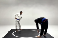 Tapis d'entraînement BJJ en PVC de qualité professionnelle - Tapis de lutte pliable, ring de combat, mousse absorbant les chocs, 4x4m, noir mat