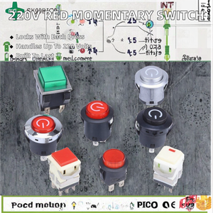 Interruptor Momentáneo Electrónico de Plástico Profesional de 220V, 1NO PBS-203, para Electrodomésticos Industriales y del Hogar, IP16, 2 Salidas, Botón Rojo - Product Image 3