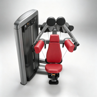 Máquina Comercial de Elevación Lateral con Pesas para Gimnasio, Equipo de Entrenamiento de Hombros y Deltoides