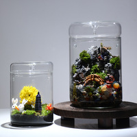 Collection de fabricants : Terrariums de bureau en verre Hejian faits à la main, coupes ouvertes, vases pour l'observation des plantes, transparents et réfléchissants la lumière