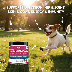 Suplemento Multivitamínico en Polvo 10 en 1 para Mascotas OEM, Apoya la Salud de las Articulaciones, la Piel, el Corazón y el Intestino con Glucosamina y Probióticos para Perros - Product Image 4