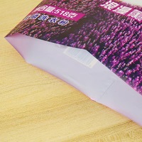 Sac d'emballage de détergent à lessive en PE moussant de conception gratuite personnalisé sac de pochette sac de lessive en poudre détergent en poudre pour l'eau