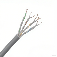 Câble Ethernet UTP CAT6 rétrocompatible de 305 m – Solution réseau polyvalente à 8 conducteurs en cuivre toronné recouvert d'aluminium