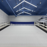 Sistema de entrenamiento con alfombra para simulador de esquí comercial para interiores en gimnasios