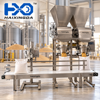 Machine d'emballage à bande double haute précision 4-50 kg pour lignes d'emballage de céréales, de semences et d'engrais