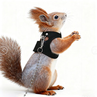 Harnais de poitrine de type gilet à sangle séparée, avec motif branche fleurie, anti-marmotte à queue noire, anti-étranglement, en polyester