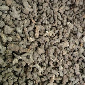 Tiankui Zi Mil años Mierda de rata cruda seca procesada por tipo de procesamiento de anuncios - Product Image 5