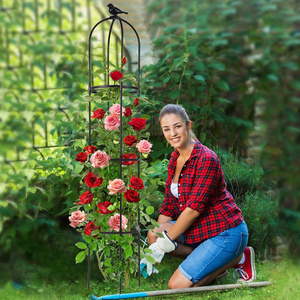 Treillis de jardin blanc antirouille pour plantes grimpantes, treillis pour roses en <span class=keywords><strong>pot</strong></span> - Product Image 3